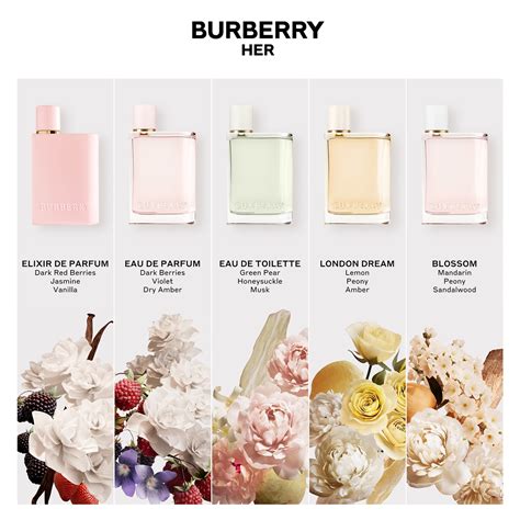 burberry her elixir fragrantica|burberry her elixir travel size.